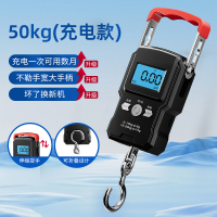 精准迷你手提电子秤50kg便携式高精度家用快递称挂钩称小型手拿秤