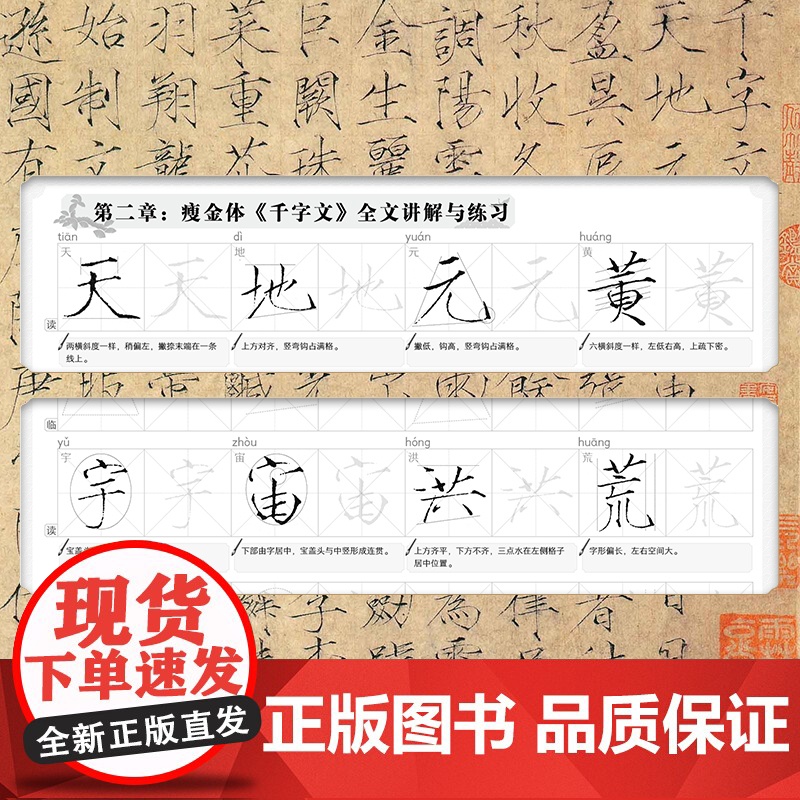 [5册] 瘦金体小楷千字文123+瘦金体小楷基础笔画+书法控笔训练描摹本软笔小楷 毛笔书法入门练习册字帖常用汉字初学者练高清大图