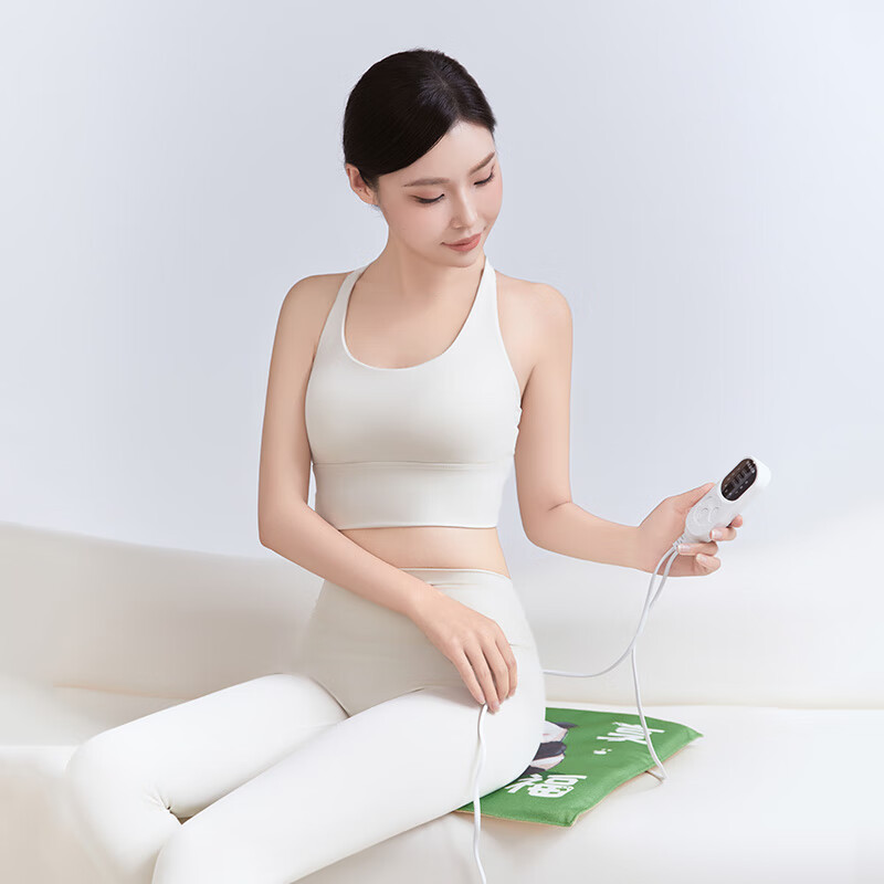 恒得舒(HEMDECOSY) 黄金绒草本养生热敷坐垫9档控温 3档定时HDS-ZD01高清大图