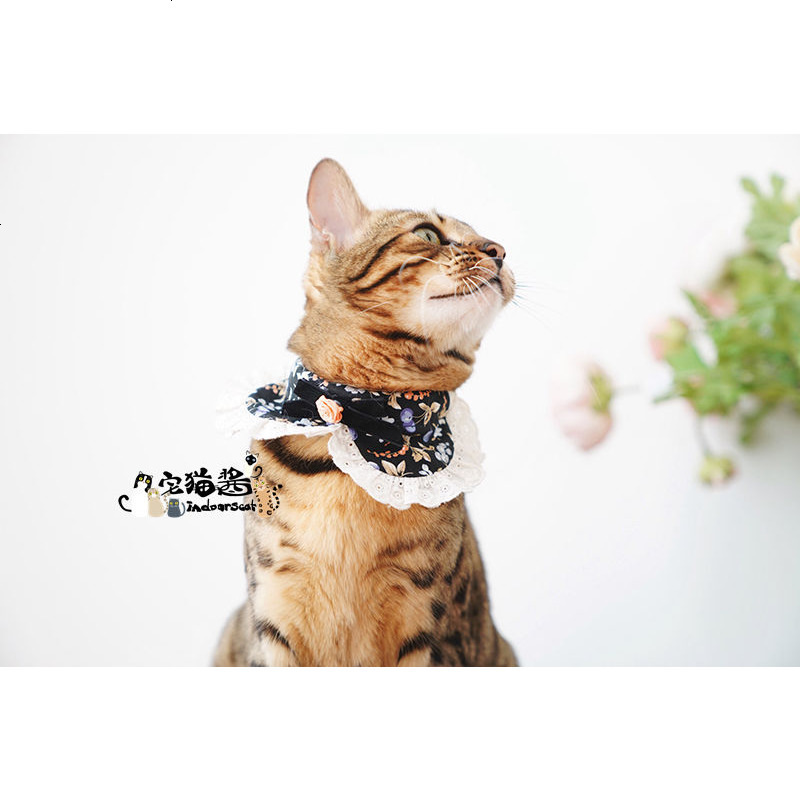 宅猫酱 猫咪臭美专用可爱围巾脖圈领结 给宝宝一个美美的春天