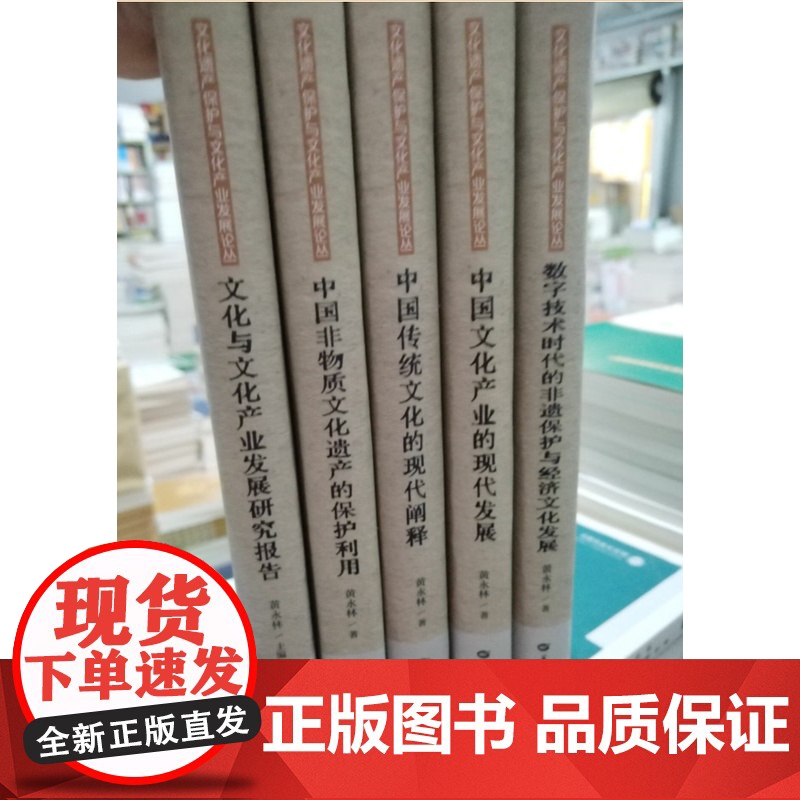 文化遗产保护与文化产业发展论丛全套5本文化与文化产业发展研究报告 数字技术时代的非遗保护与经济文化发展(精)