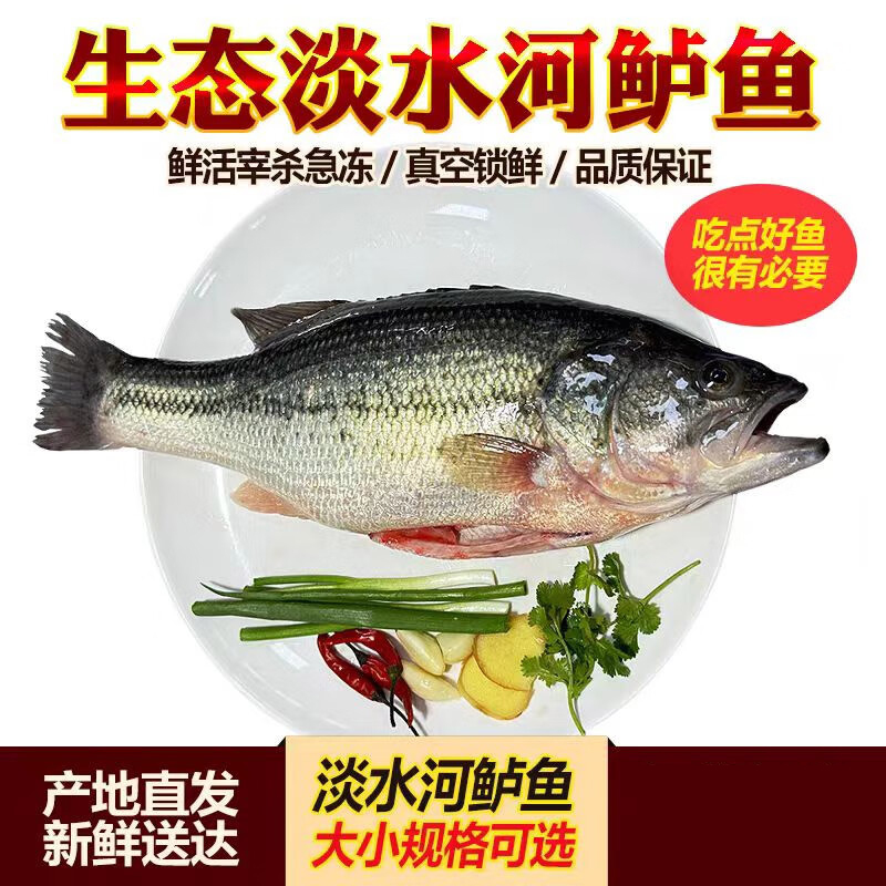 鲈鱼 (活鱼现杀)袋装500g高清大图