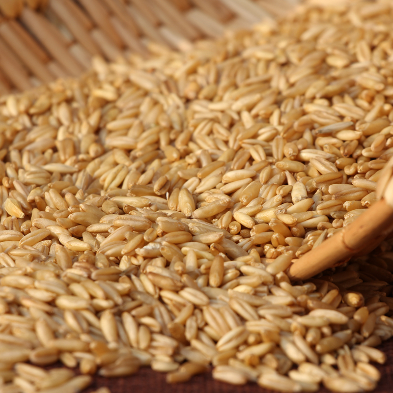 半亩川杂粮良田谷韵·丰收1.2kg高清大图