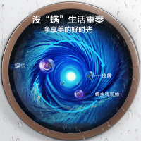 美的(Midea)MG80VT15D5 8公斤全自动滚筒洗脱一体洗衣机 变频节能静音 家用莫兰迪配色 除螨洗