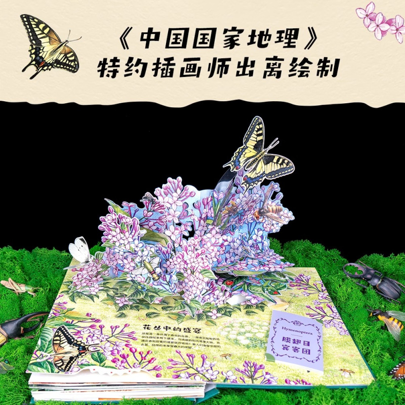昆虫记立体书 [正版]昆虫记立体书精装3D儿童机关书翻翻书洞洞书法布尔昆虫记原著3-6岁幼儿图画书一二三四五年级小学生课