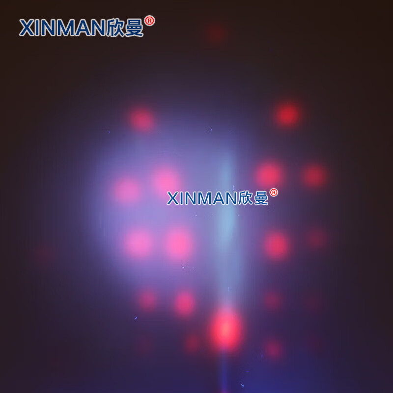 欣曼科教 针灸臀部训练模型 臀部针灸针刺扎针练习模型XM-ZC02高清大图