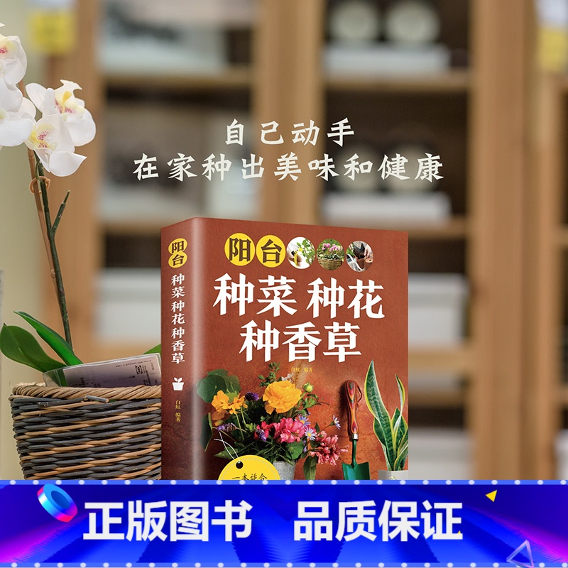 本阳台种菜种花种香草 【正版】阳台种菜种花种香草彩图详解 花卉养护知识 养花教程花卉知识介绍种植栽培修剪指导繁殖法书籍鲜