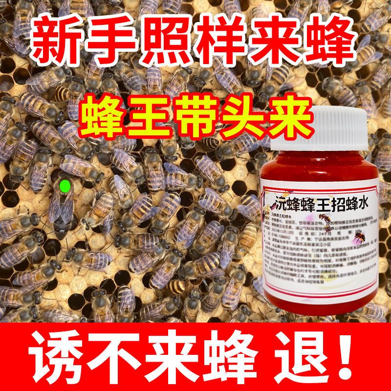 一瓶一次用[小瓶装] 神奇招蜂水引蜂水诱蜂水收蜂水诱蜂液收捕野蜜蜂信息素蜂王信息素