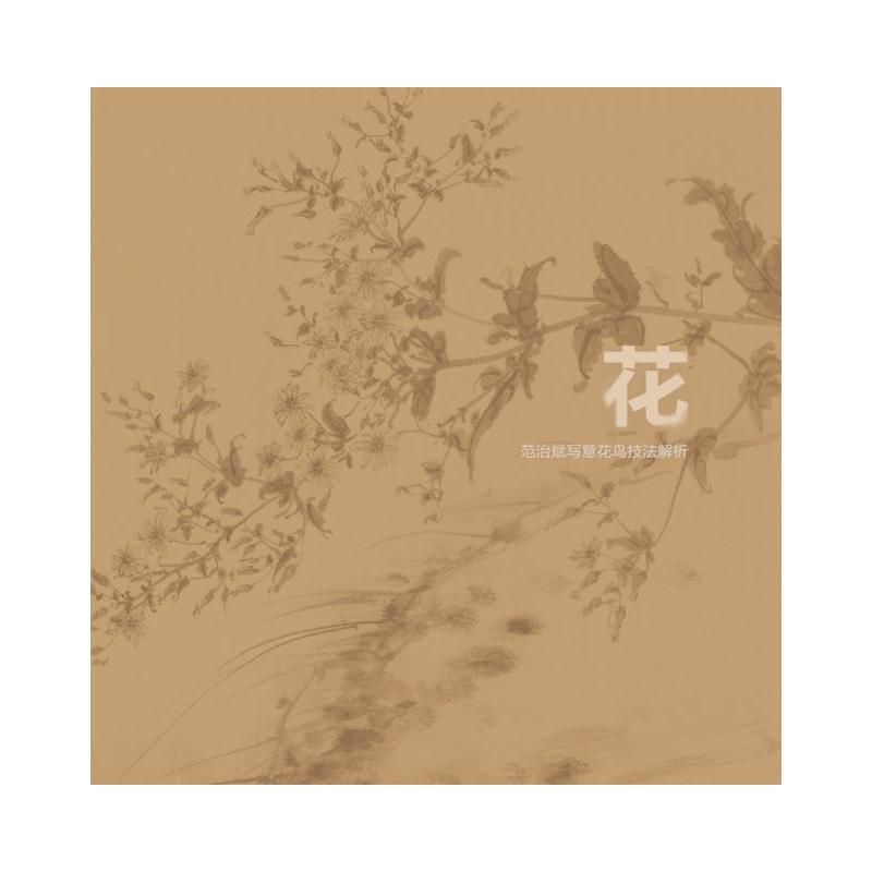 醉染图书花鸟虫鱼 范治斌写意花鸟技法解析9787539344065高清大图