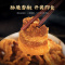 猪油渣五花酥猪肉粕干炸猪肉脂渣猪肉脯猪肉干即食零食香酥猪油粕