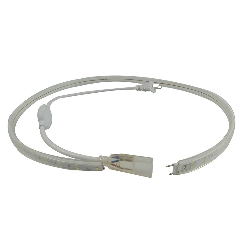 深照紫光ZD305 LED灯泡 30米 (单位:箱)