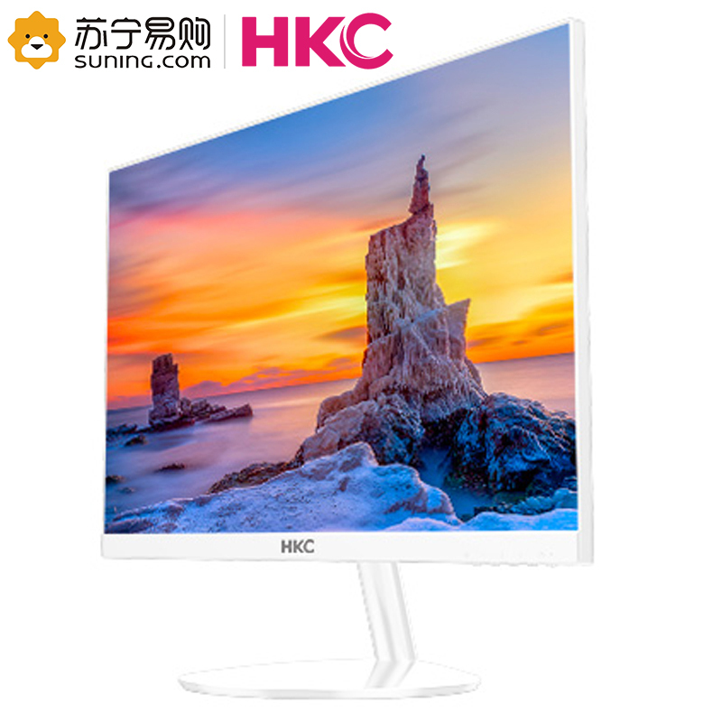 惠科(HKC)H220W 21.5英寸VA微边广视角显示器家用台式机电脑液晶高清led护眼屏幕自营(VGA/DVI接口)