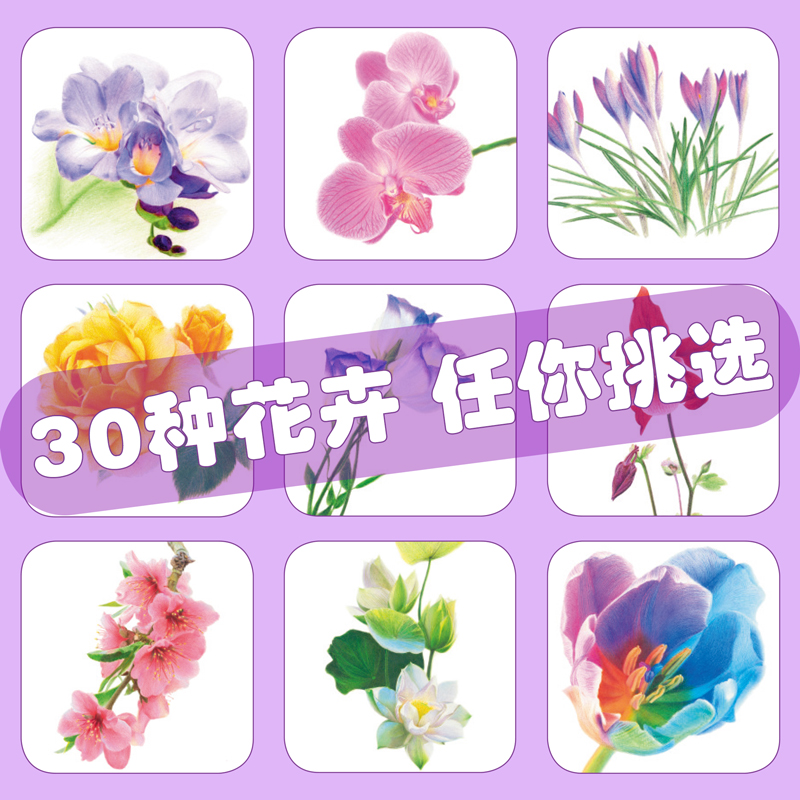 [醉染正版]彩铅花卉画教程书铅笔画临摹画本手绘涂色填色生活艺术书籍花朵草植物水彩写实成人绘画插画册初级学零基础入门线稿儿高清大图