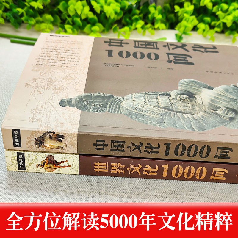 [2册]中国文化+世界文化 [正版]抖音中国文化1000问 年轻人要熟知的历史常识 中国传统文化精华知识百科古典文学国学