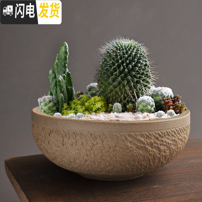 三维工匠多肉花盆大口径特大号陶瓷绿植肉肉盆器创意个性粗陶拼盘 款式-20 大花盆容器