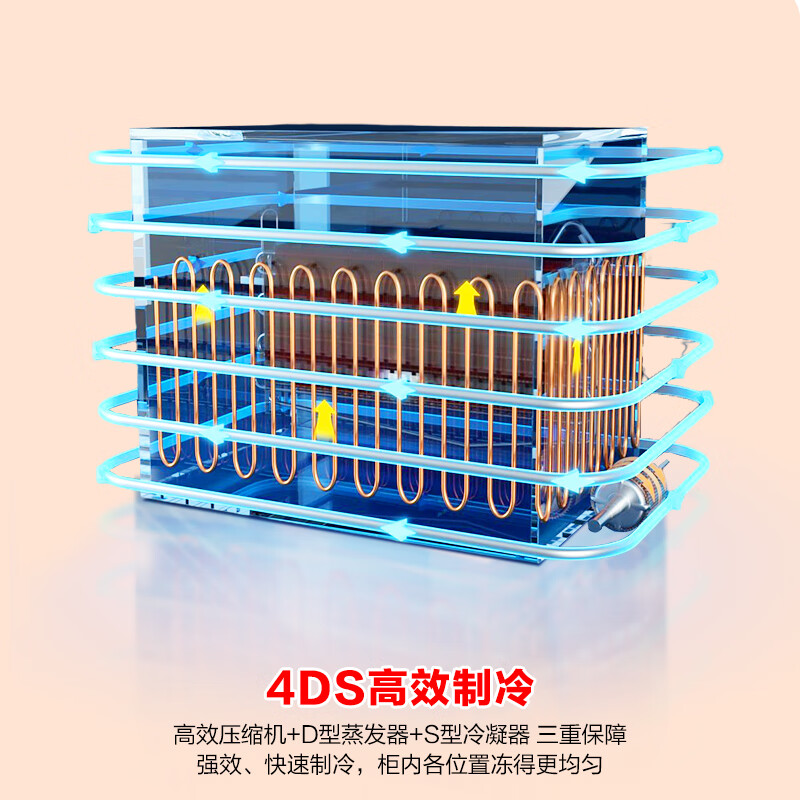 容声 BD/BC-100E10HNLAJ 100升小型冰柜家用冷藏冷冻转换卧式冷柜一级能效顶开门母乳存放小冰箱高清大图