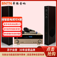 奔腾(BNTN)套装家庭影院ktv音响落地式 电视卡拉OK组合音响2.0声道 蓝牙838功放配时尚1号主音箱2只