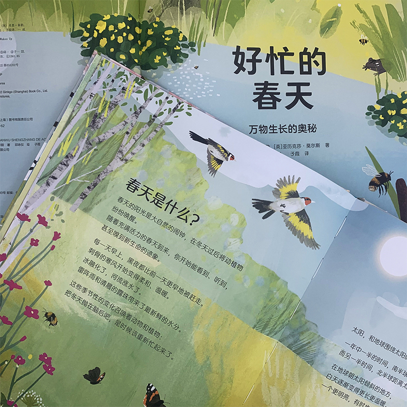 单本全册 [正版]浪花朵朵 好忙的春天 万物生长的奥秘 6-11岁自然笔记科普百科图画书 睡着的冬天四季故事春耕生活