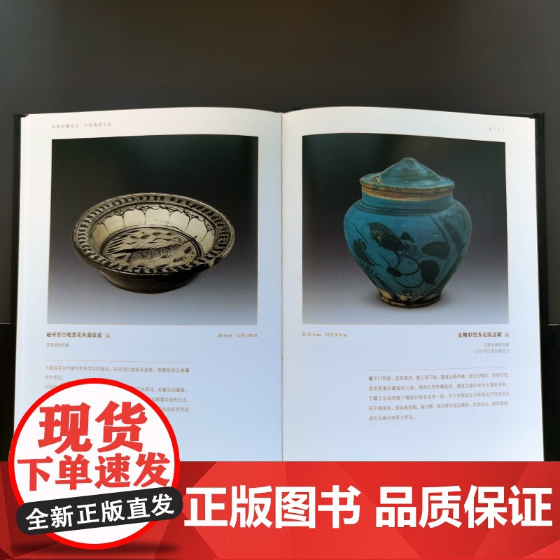 [正版书籍]国家馆藏珍宝·中国陶瓷大系 元代(上、下)高清大图