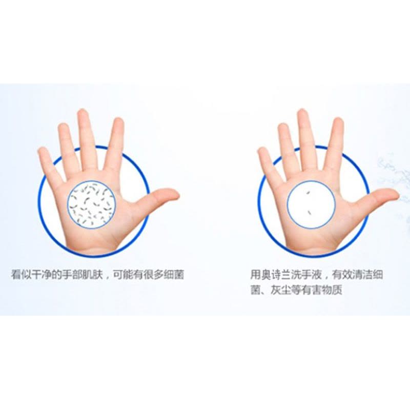 奥诗兰(AOSHLAN) 丝蛋白洗手液525ml 单瓶装图片
