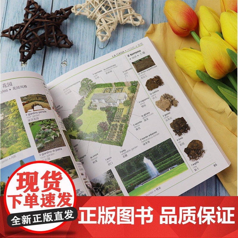 正版 意英汉图解词典 贾文波著 意大利语词汇分类单词词典工具书 意英汉词典字典 意英汉互译工具书 意英汉 外语教学与研究高清大图