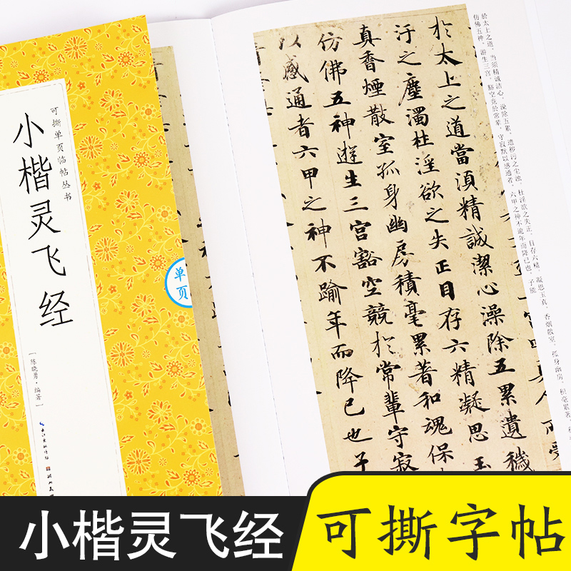 [可撕碑帖]褚遂良雁塔圣教序 [正版]字帖毛笔入门临摹灵飞经颜勤礼碑多宝塔碑可撕单页临帖丛书临摹本10册套装毛笔字初学者高清大图