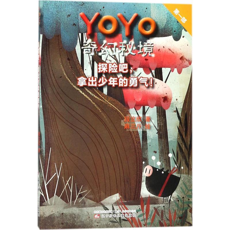 正版新书]YOYO奇幻秘境?探险吧拿出少年的勇气!段立欣9787531572高清大图