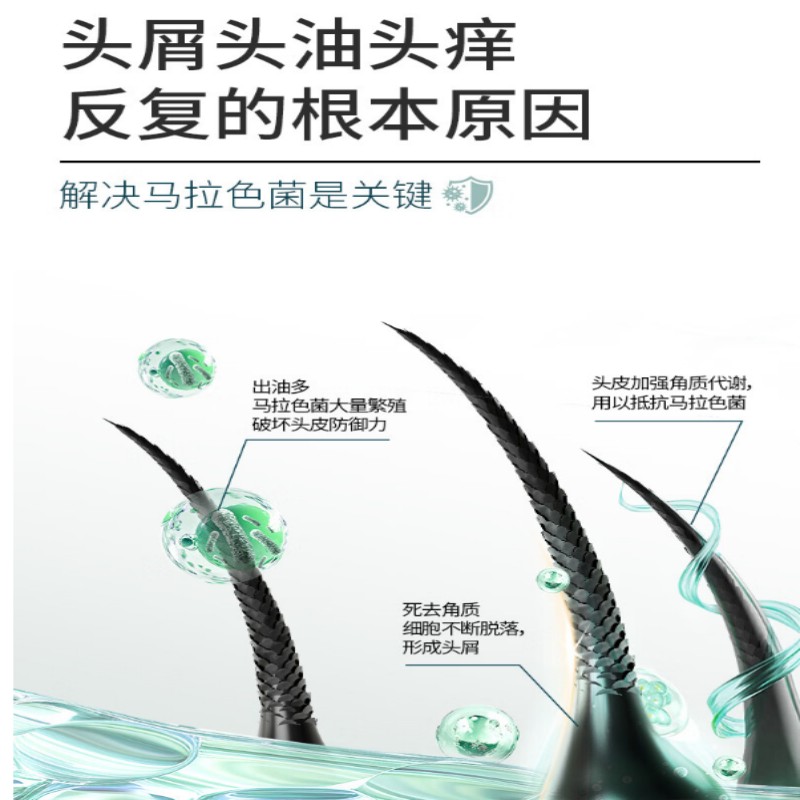 舒蕾 氧活O₂ Dynamic控油去屑洗发露-500g高清大图