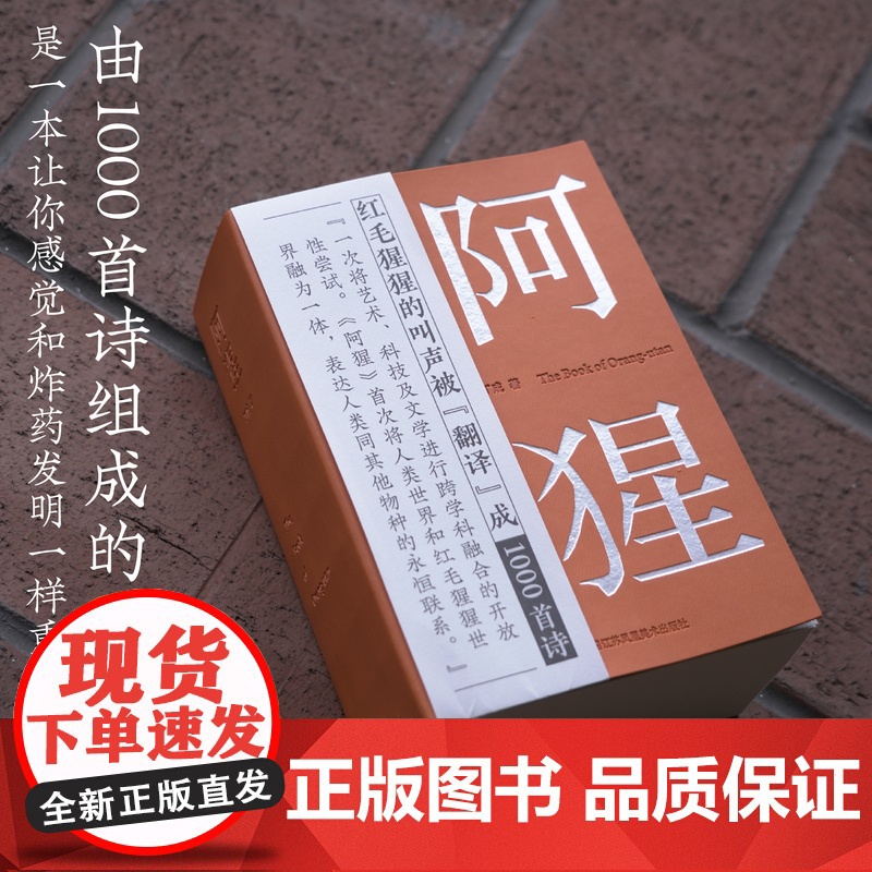 2024年“中国最美的书”阿猩 红毛猩猩的叫声被“翻译”成1000首诗 人类与其他物种的共同创作 红山动物园 毛栗子