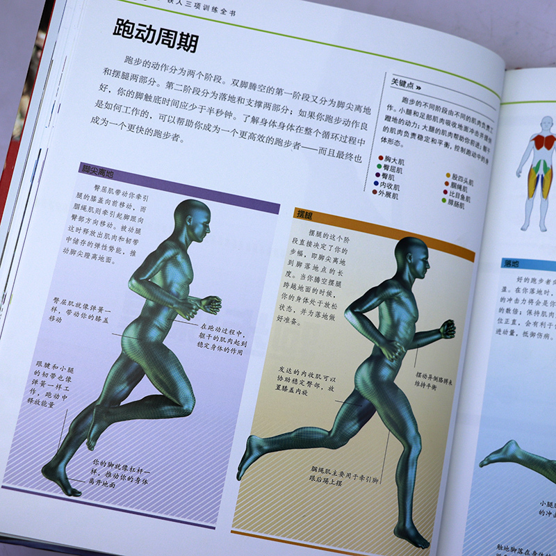 [正版]DK文化生活百科丛书铁人三项训练全书精装铁人三项运动制订训练计划书体能力量书籍基础运动跑步游泳骑行训练指导铁人三