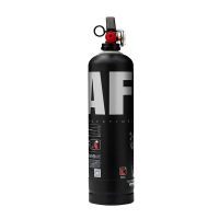 神龙 灭火器 水基型(水雾)不锈钢环保灭火器2升 SAFE版黑银款 车载家用及商用灭火器2L MSWZ/2B 消防器材