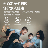 多乐士致悦竹炭抗甲醛抗病毒无添加全效乳胶漆油漆涂料A740S套装15L