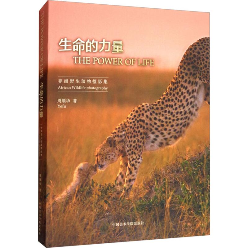 生命的力量