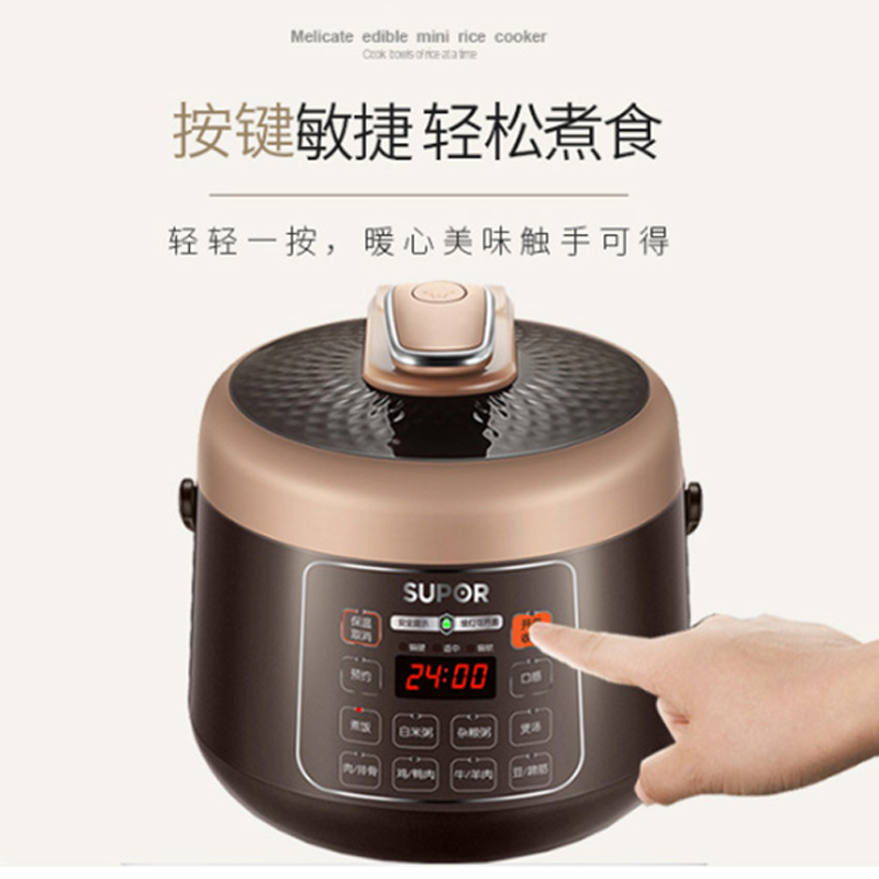 苏泊尔(SUPOR)电压力锅 2.5L小容量多功能手动排气压力锅 体积迷你不占内胆电饭煲 2-3人 咖啡色高清大图