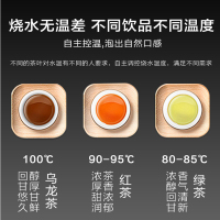 HYUNDAI立式饮水机茶吧机BL-W-3温热型黑色下置水桶抽水智能触控钢化玻璃智能加水加热保温双壶储物柜