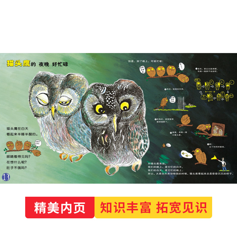 大家来逛动物园 精装 [正版]大家来逛动物园硬壳精装绘本图画书3-6岁阅读动物主题动物趣味科普认知图画书少年儿童出版社童高清大图