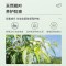 松达婴儿山茶油爽身露宝宝桃子水液体爽身粉新生专用儿童痱子水爽身露200ml+山茶油乳128g