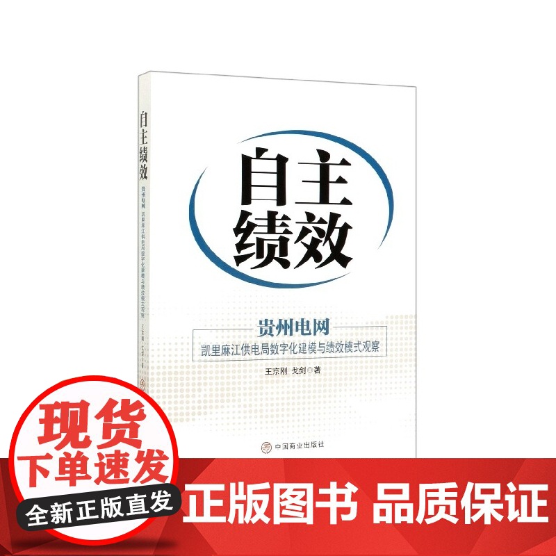 自主绩效(贵州电网凯里麻江供电局数字化建模与绩效模式观察高清大图