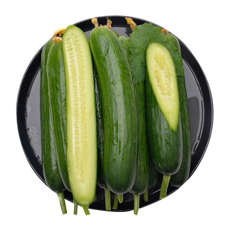 山东水果黄瓜 新鲜蔬菜 5斤装