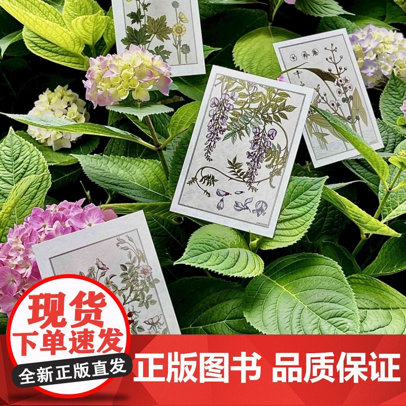自然而美:新艺术装饰设计图录高清大图