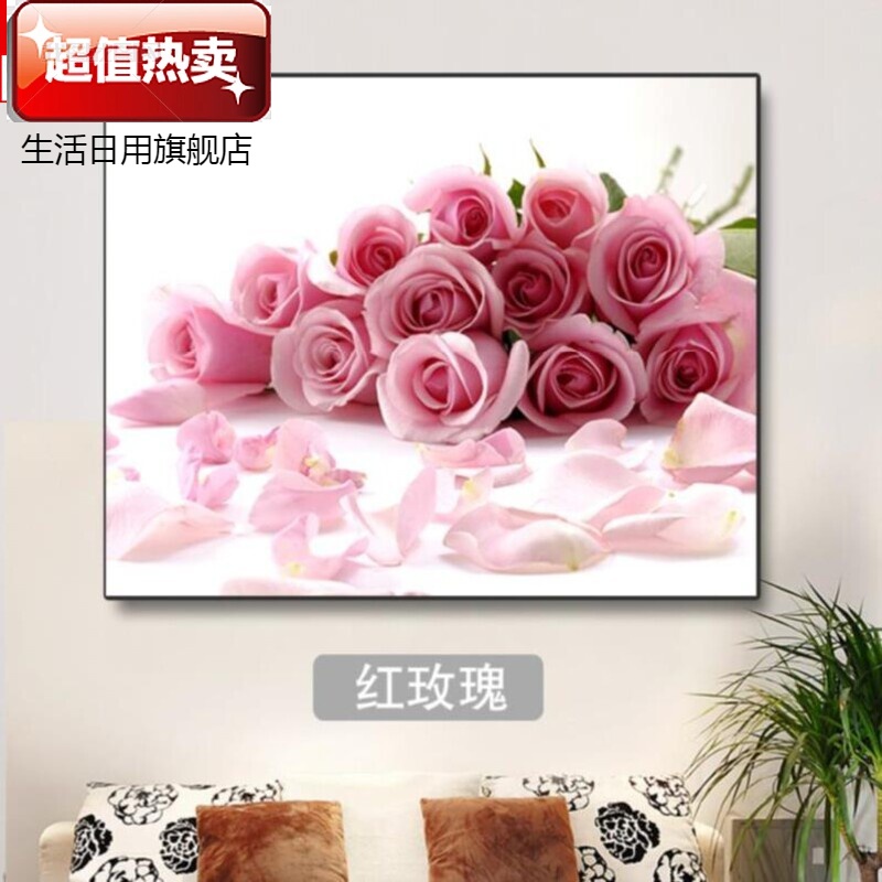 配电箱装饰画简约现代推拉式总闸玄关轨道式餐厅茶室免钉红玫瑰50高 60宽 遮挡40 50cm 30mm厚板图片 高清实拍大图 苏宁易购