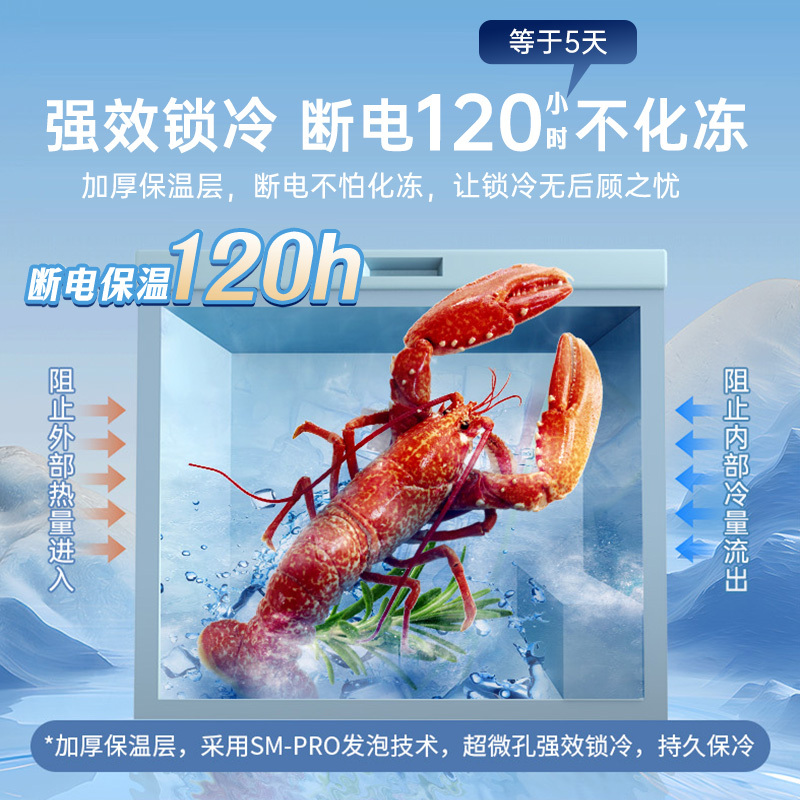 澳柯玛BC/BD-206HNE 206升家用冷柜顶开冷冻冷藏冰柜一级减霜卧式单温冰箱