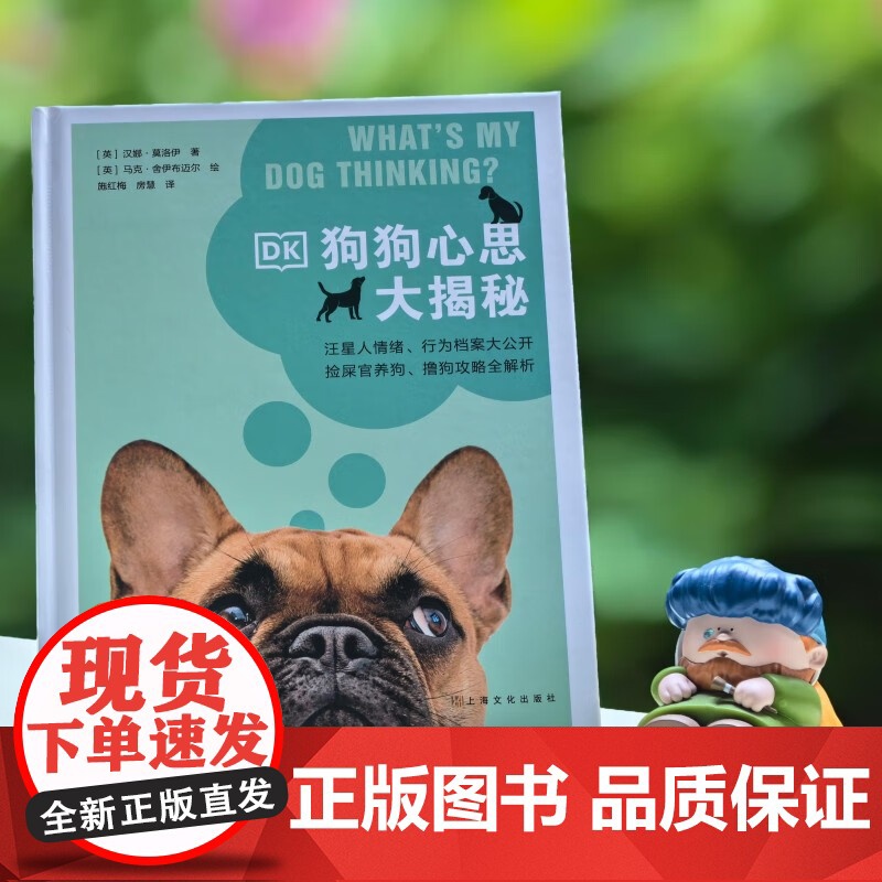 DK狗狗心思大揭秘 汉娜·莫洛伊 著 家居高清大图