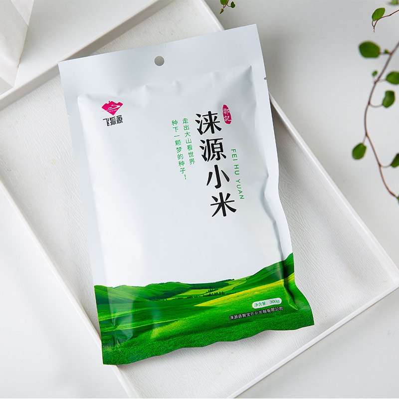 [中华特色]河北供销馆 农交汇 涞源小米礼盒300g*10袋 黄小米新米小米粥五谷杂粮粗粮 年货礼品 河北保定特产