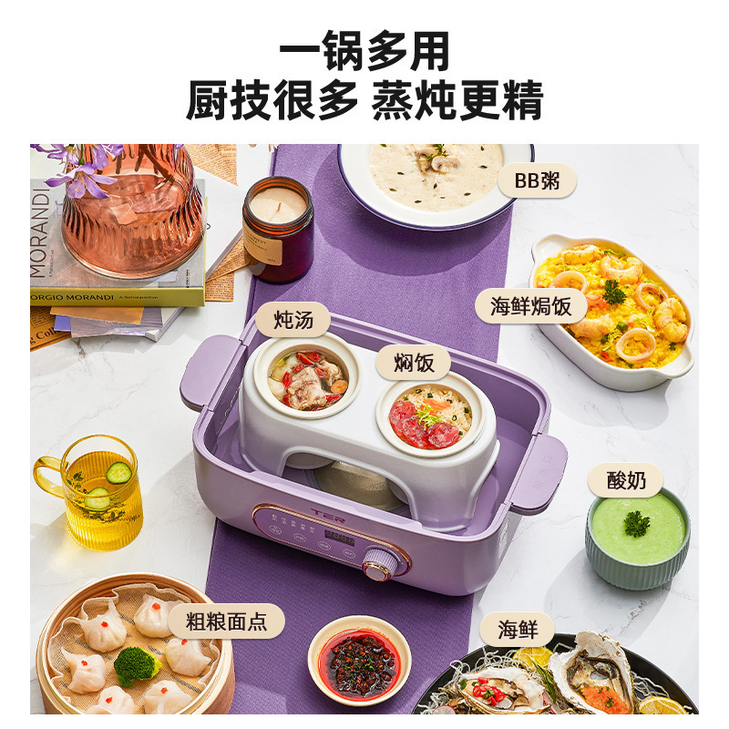 泰瑞达(TER)蒸炖锅电蒸锅多功能家用电炖锅隔水炖盅全自动预约蒸煮锅 T-ZG01 木槿紫带炖盅