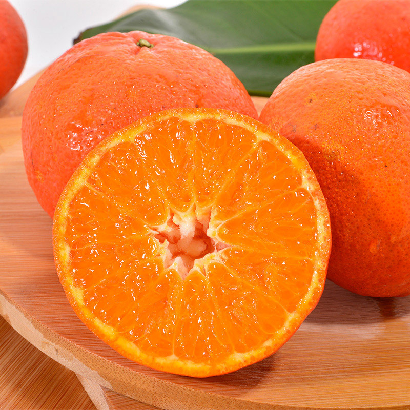 四川无核香妃柑5斤装单果65mm起25kg单果65mm起