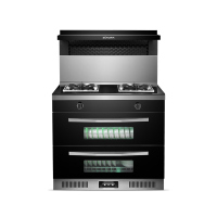 索太(SOTAI)S8集成灶一体灶家用双电机豪配大吸力烟灶大火力节能环保灶消毒一体家用侧吸下排自动清洁 液化气