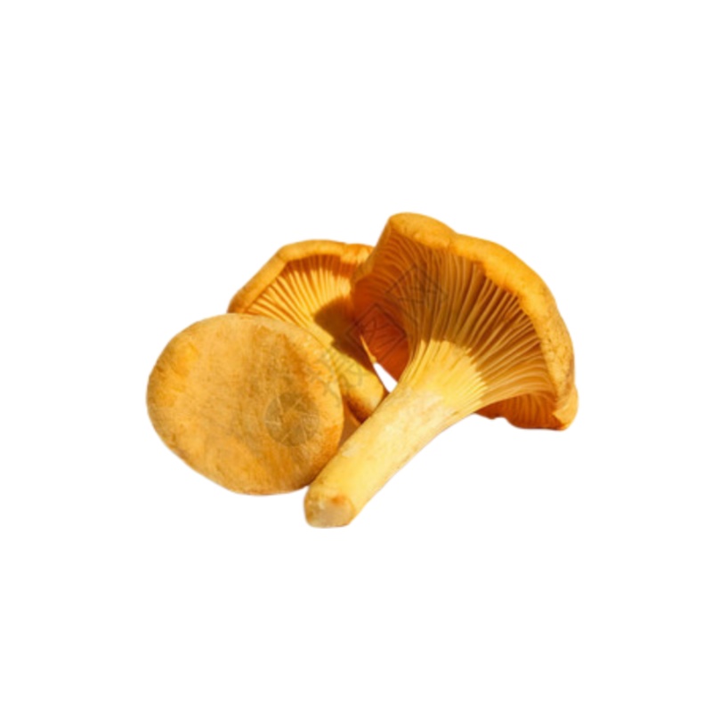 艾提尕鸡油菇150g/袋高清大图