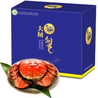 [活蟹]老濮头阳澄湖大闸蟹礼盒 鲜活螃蟹河蟹公母蟹河鲜 公6.0两母4.0两 3对