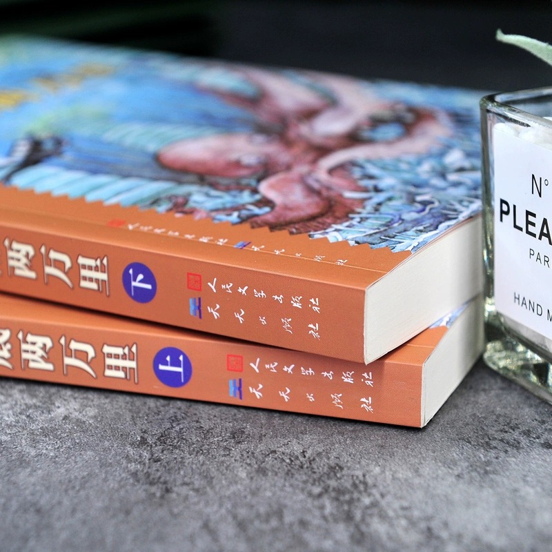 [礼盒装]全10种(送礼、自用) [正版]海底两万里上下2册 世界儿童文学名著精读本 小学生四年级五年级七年级初中版老高清大图